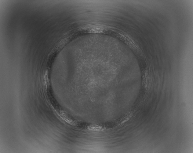 X0000082700598200702161752