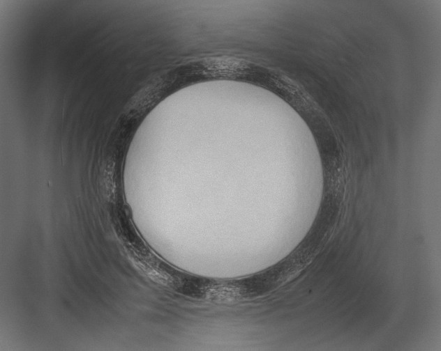 X0000082700599200702161752