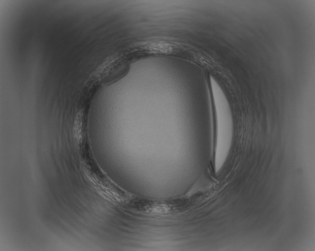 X0000082700600200702161752