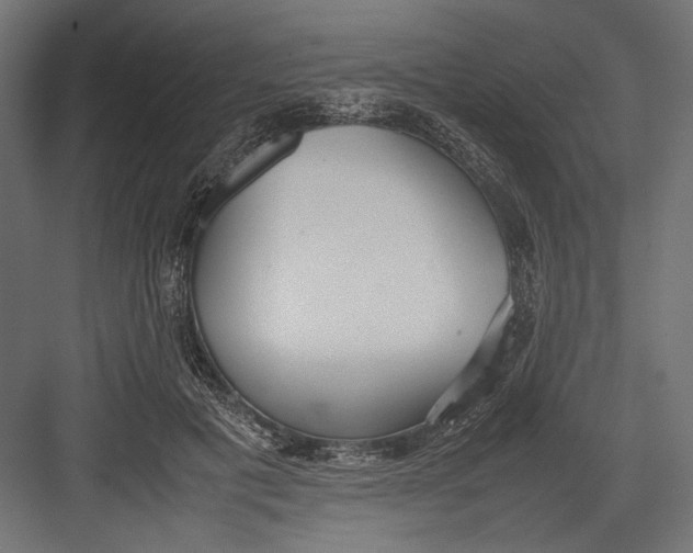 X0000082700601200702161752