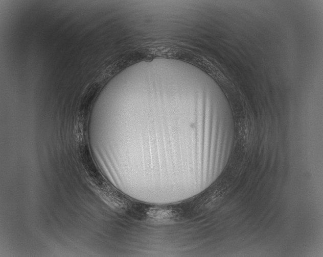 X0000082700602200702161752