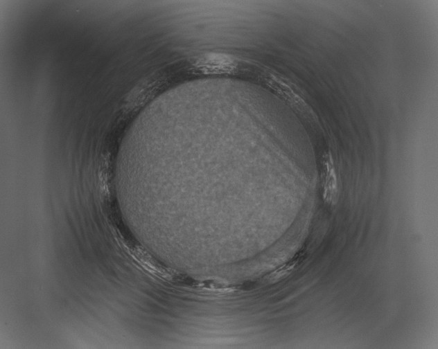 X0000082700604200702161752