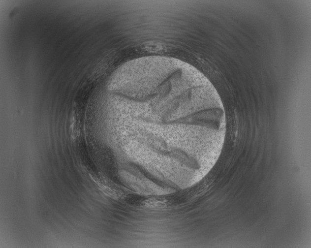 X0000082700606200702161752