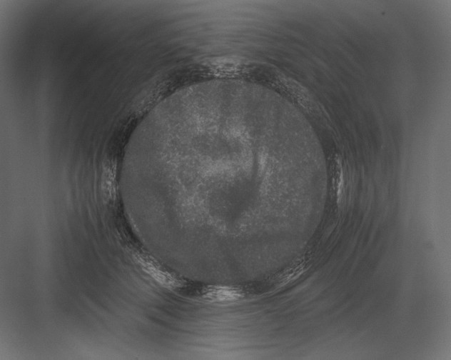 X0000082700610200702161751