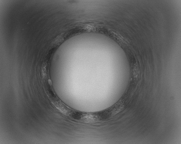 X0000082700611200702161751