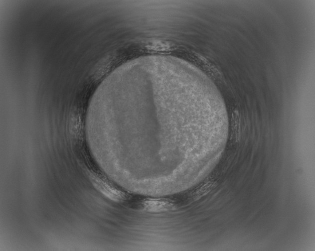 X0000082700614200702161751