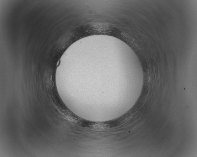 X0000082700615200702161751