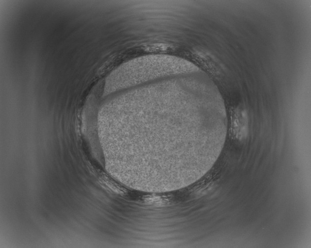 X0000082700616200702161751