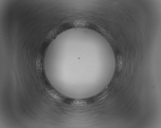 X0000082700619200702161751