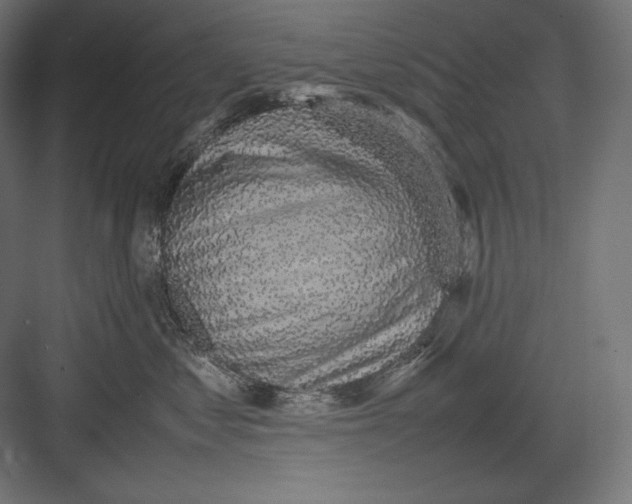 X0000082700621200702161751