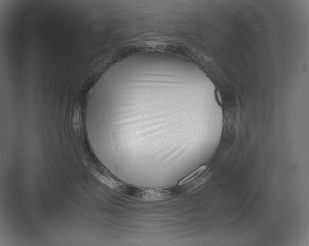 X0000082700623200702161751