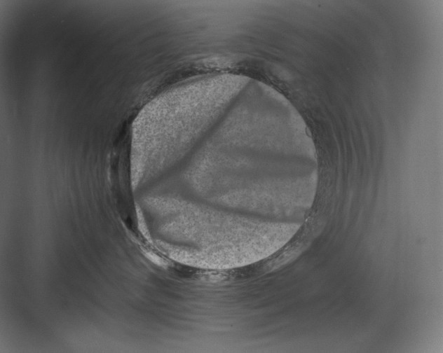 X0000082700624200702161751