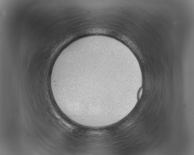 X0000082700625200702161750