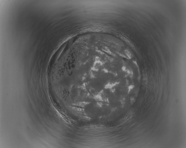 X0000082700626200702161750