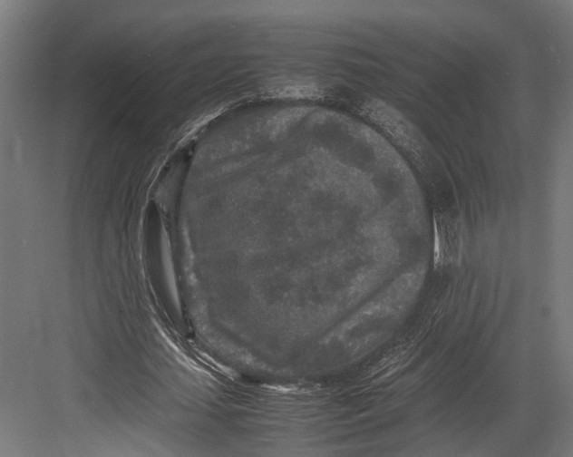 X0000082700627200702161750