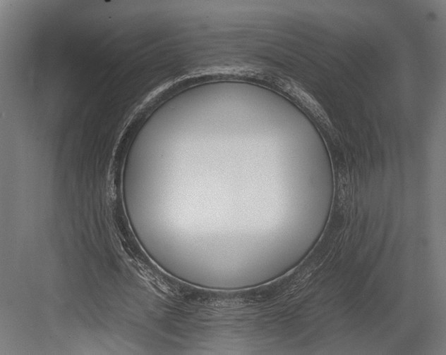 X0000082700628200702161750