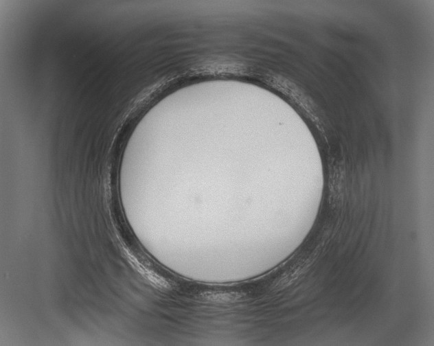 X0000082700629200702161750