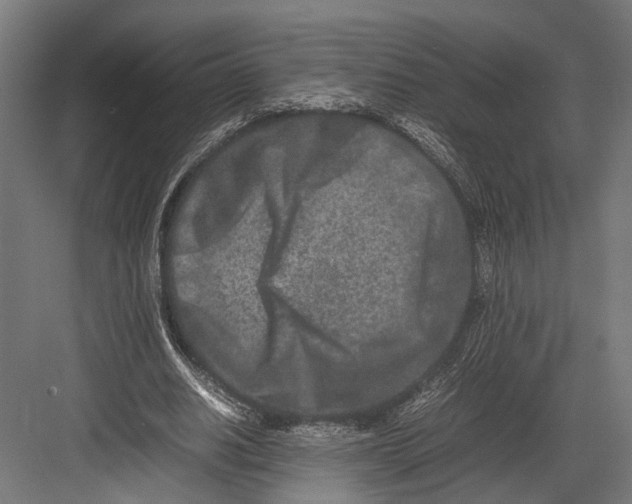 X0000082700630200702161750