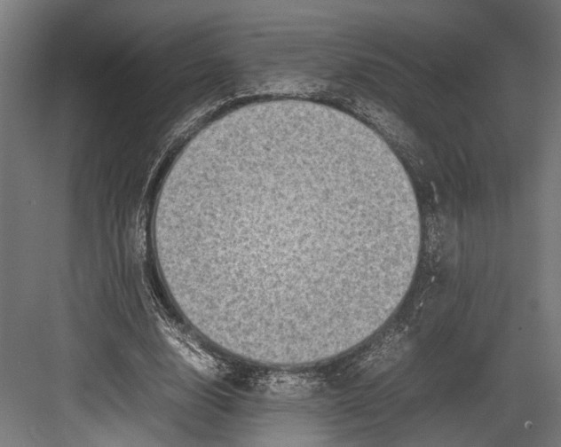 X0000082700632200702161751