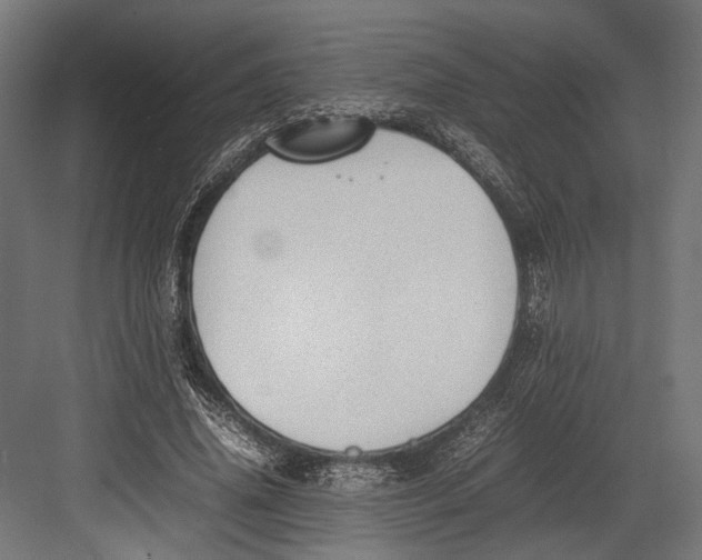 X0000082700636200702161751