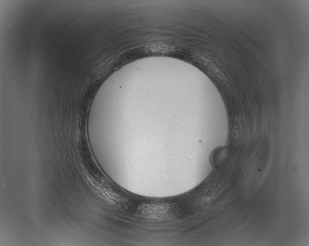 X0000082700639200702161751