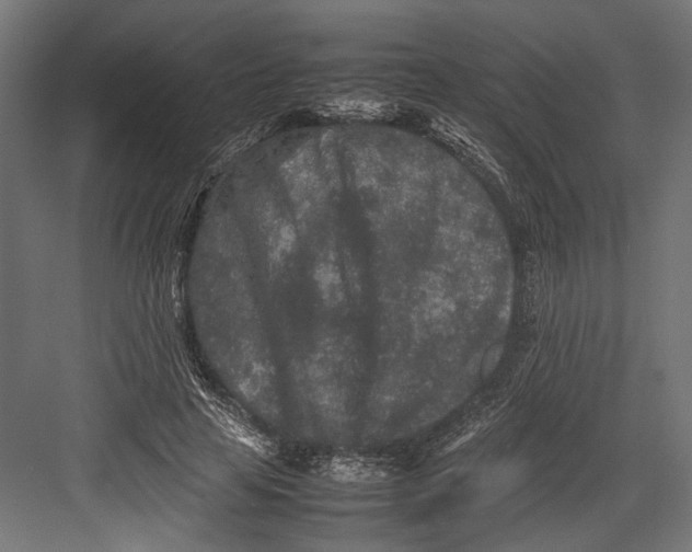 X0000082700641200702161751