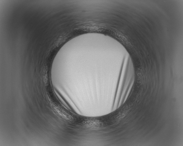 X0000082700642200702161751