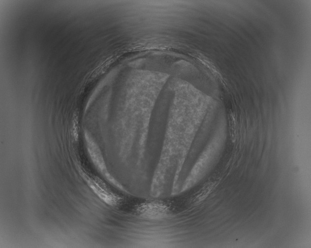 X0000082700644200702161751