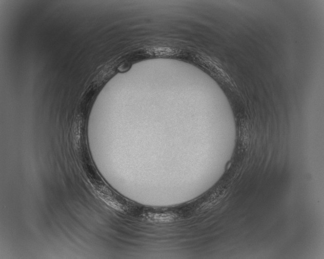 X0000082700645200702161751