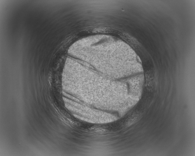 X0000082700648200702161751