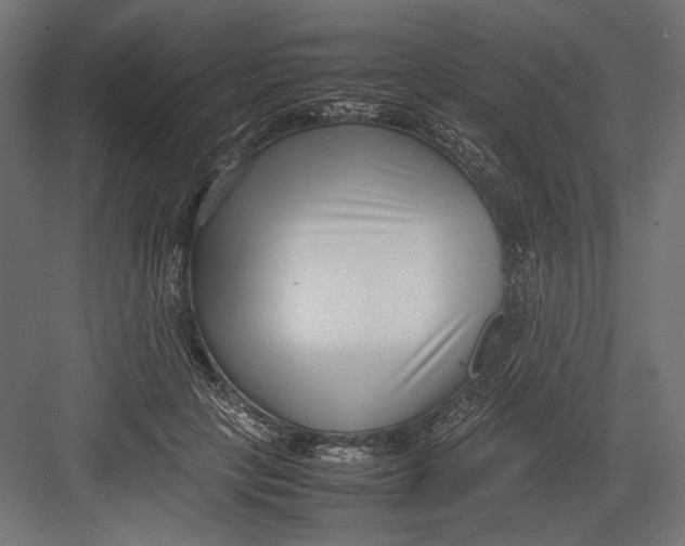 X0000082700649200702161751