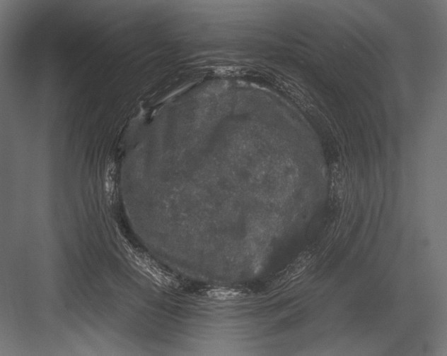 X0000082700650200702161751