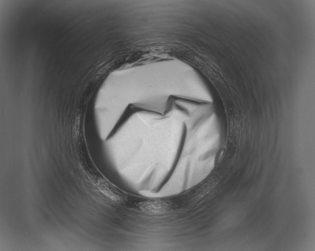 X0000082700652200702161751