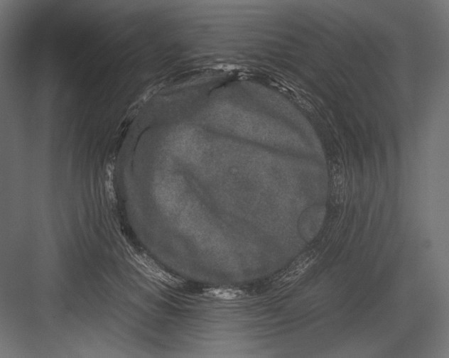 X0000082700654200702161751