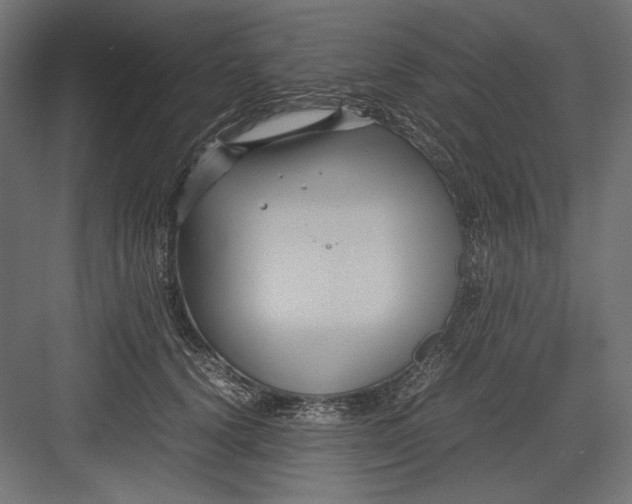 X0000082700656200702161751