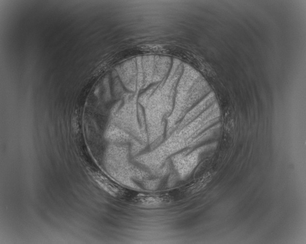 X0000082700658200702161751