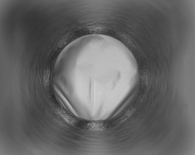 X0000082700660200702161751