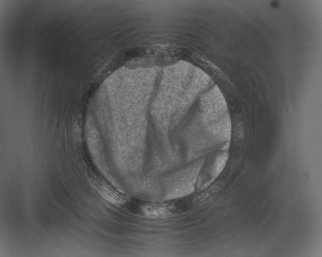 X0000082700661200702161751