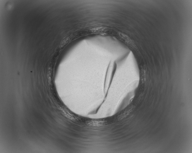 X0000082700664200702161751