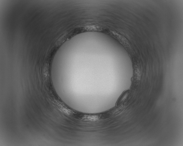 X0000082700665200702161751