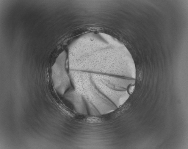 X0000082700666200702161751