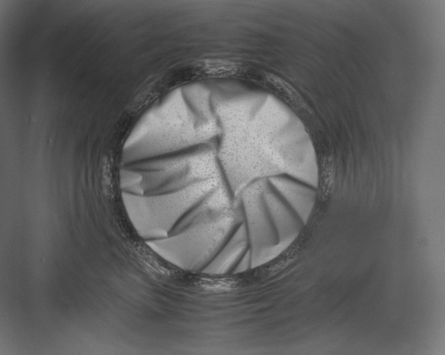 X0000082700667200702161751