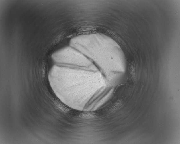 X0000082700668200702161751