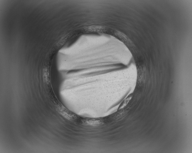 X0000082700669200702161751