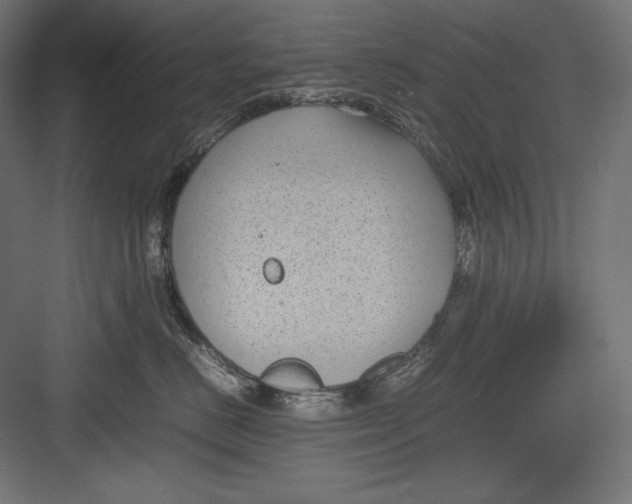 X0000082700670200702161751