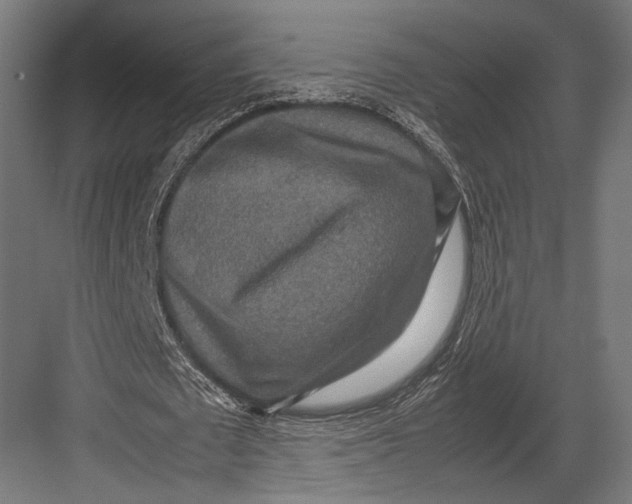 X0000082700673200702161750