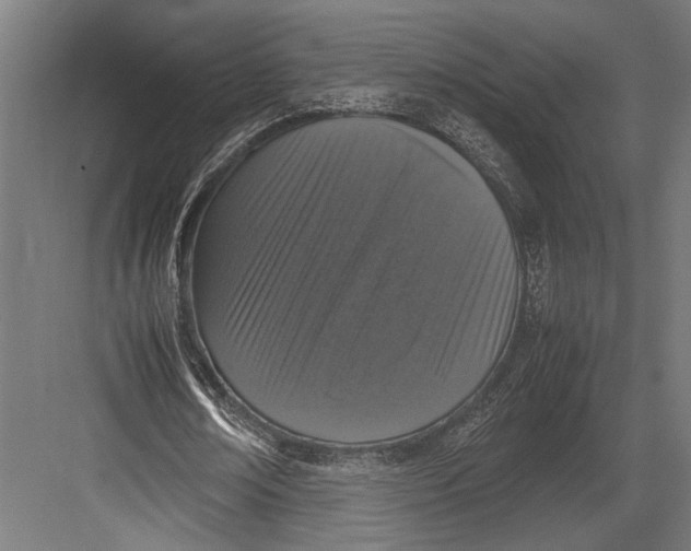 X0000082700674200702161750