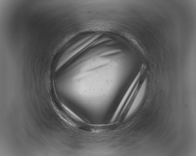 X0000082700677200702161750