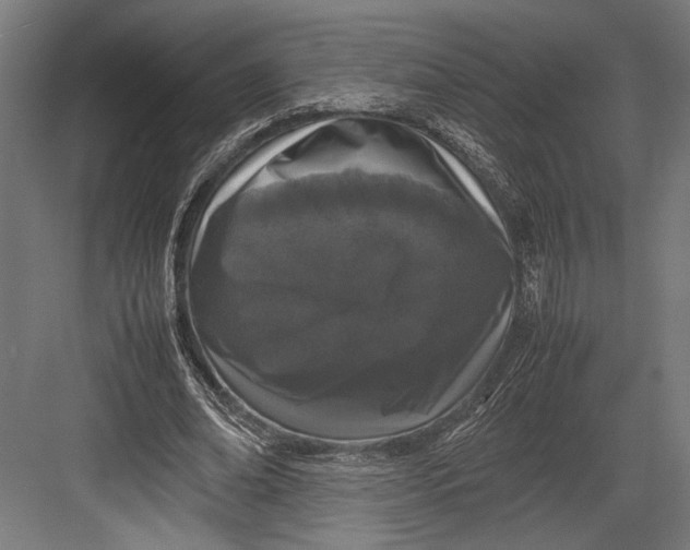 X0000082700678200702161750