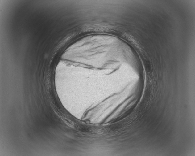 X0000082700679200702161750